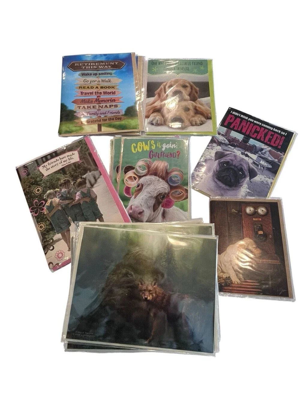 Greeting Cards-Retirement Friendship & Blank 19 Cards & Envelopes New GC110